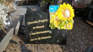 plaquette en granit labrador vert